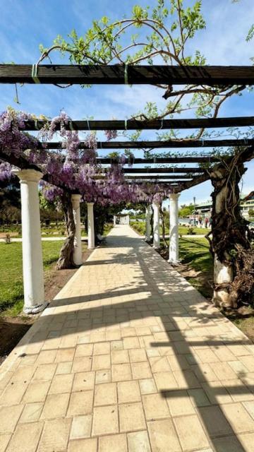 Hotel Villa Ines Mendoza Dış mekan fotoğraf